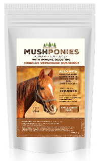 PetClub247 MushPonies