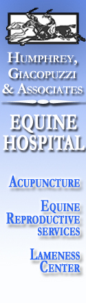 Humphrey, Giacopuzzi & Associates