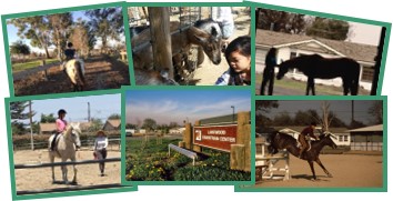 Lakewood Equestrian Center