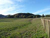 Wanted: Equestrian Fence/ Shelter Repairmen. Fallbrook/ San Diego, CA area