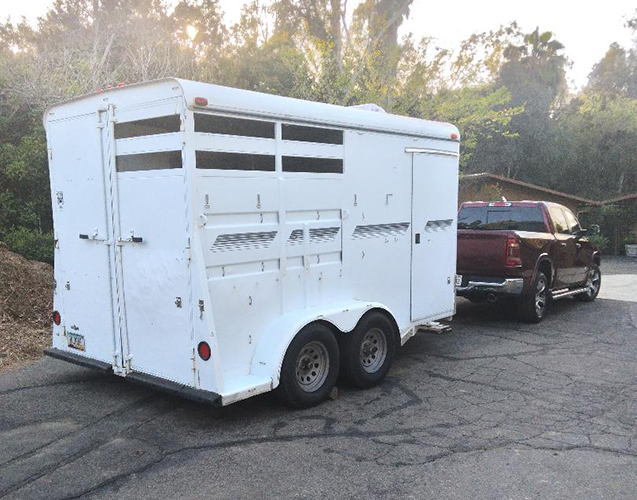 Horse trailer RENTALS and HAULING.
Clean 2 horse slant, bumper pull, no ramp, low step up and tack room - Rentals