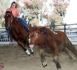 Anderson Equine Assistance Program