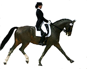 Avalon Dressage, San Diego