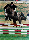 Lisa Rodgers, owner and trainer, offers customized programs for horses and riders of all ages and levels.