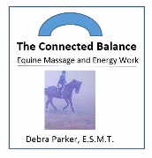 The Connected Balance - Equine Massage ~ (E.S.M.T. certified and insured)