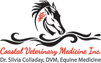 Silvia Colladay DVM
