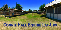 Connie Hall Equine Lay-Ups - Anaheim, California