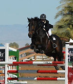 Elpis Enterprises, LLC, Hunter/Jumper/Equitation training and lessons offered at beautiful facility in San Marcos.