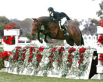 EquiSport International