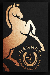 Hanney Farrier Services - San Diego & Inland Empire areas
