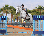 Midnight Farms specializes in Hunters, Jumpers, Equitation, Showing and Sales. Moorpark.