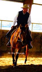 Gonzales Livestock