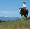 Salisbury Farms ~ Horses Helping Humans ~ Lakeside, CA ~ Classical Riding instruction and horsemanship ~ Adult Adventure program ~ Autism programs