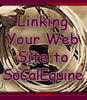 Link Your Website to SCED