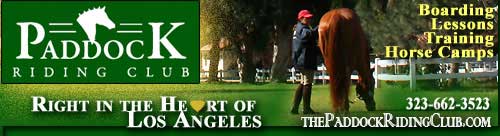 The Paddock Riding Club, Boarding / Training / Lessons, Los Angeles