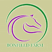 Bonfield Farm, Boarding, Pasture, Lay-up, Training, Broodmare Care, Retirement, Frazier Park, Los Angeles