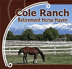 Cole Ranch - Exceptional retirement Care for Horses, Terra Bella, California