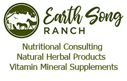 Dana Rullo - Equestrian Facility Design and Consulting