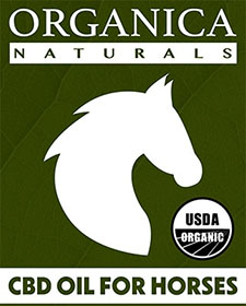 Organic CBD Oil For Horses