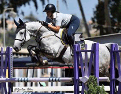 Royal Horses Stables Boarding - Full service Hunter, Jumper, Equitation, Training - Lessons - Sales - located in beautiful Twin Oaks Valley in San Marcos, California.