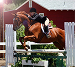 Royal ridge equestrian Center, boarding, training, lessons, San Diego